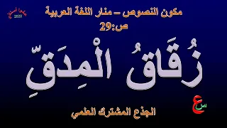 زقاق المدق مكون النصوص منار اللغة العربية ص29 الجذع المشترك علمي  زقاق المدق مكون النصوص منار اللغة العربية ص29 الجذع المشترك علمي