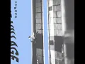 樹影