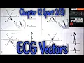 ECG Vectors - Chapter 12 part