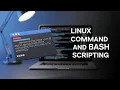 Linux Command Line Interface Basics and BASH Scripting Projects Master the Terminal in Minutes