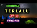Download Lagu ST 12 - TERLALU ( KARAOKE ) NADA PRIA