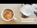Interface and Polymorphism