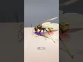 How Yellowjacket Actually Stings You