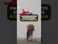 Download Lagu PM Wong quotes hokkien song A Little umbrella