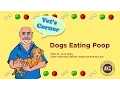 Dogs Eating Poop Vet s Corner with Dr Jerry Klein