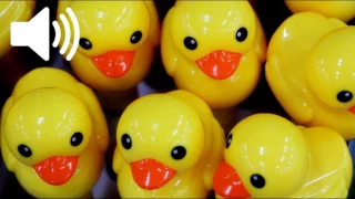 Duck Toy Sound Effect