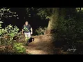 Top 3 Urban Hikes in Seattle area according to expert Craig Romano - KING 5 Evening