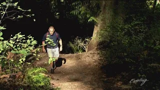 Top 3 Urban Hikes in Seattle area according to expert Craig Romano - KING 5 Evening
