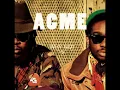 We Got The Love - ACME