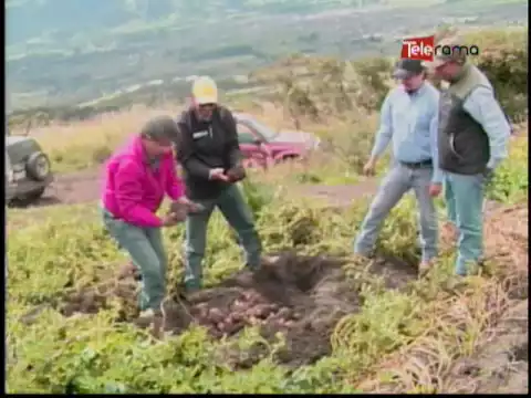Ecuador Agropecuario 02-09-2016