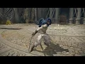 Elden Ring Weapon Showcase - Twinblade Powerstance