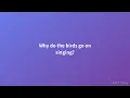 Skeeter Davis - The End Of The World (Lyrics)
