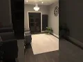Plain soft Rug