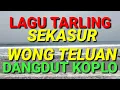 Download Lagu MlLAGU TARLING SEKASUR WONG TELUAN DANGDUT KOPLO