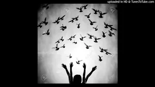 echo deep freedom for peace