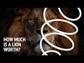 How much is a lion worth