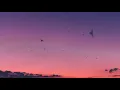 Morgan Wallen - Dangerous (Lyrics)