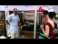 Husband-Wife Teams Do Battle Flea Market Flip HGTV Asia