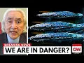 Download Lagu Michio Kaku: “3I/ATLAS just turned back \u0026 IT’S NOT ALONE”