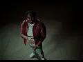 Tee Grizzley - Robbery 7 [Official Video]