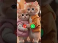 Download Lagu Mi telephone ringtone #calling #calls #ringtone #cats
