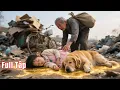Download Lagu Ông lão ve chai nhặt bé gái ở bãi rác về nuôi, 18 năm sau đứa bé báo đáp khiến ông kinh ngạc!