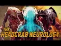Half-Life Head Crabs Zombie Neurology Explored Lore of Half life 1 2 and hopefully 3 Explained
