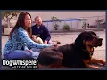 Season 4 Episode 28 Teen Saves Dog From Euthanasia Dog Whisperer With Cesar Millan