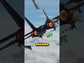 The F-14 Paradox