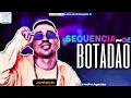 Download Lagu SEQUENÇIA DE BOTADÃO JAPÃOZIN DA CACHOEIRA PENDRIVE ATUALIZADO 2022