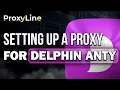 How to Setup a Proxy in Dolphin Anty ProxyLine
