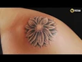 Best Daisy Tattoo Design Idea