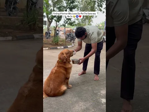 Loves only 😭❤️🧿 #shortsindia #puppy