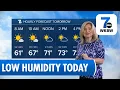 Sunny and Mild Weather Returns to Western New York