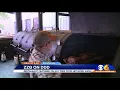 Guy Fieri visits Richmond favorite ZZQ on Diners Drive-Ins Dives