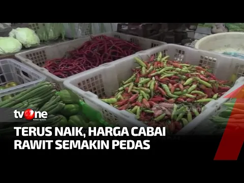 Pedasnya Harga Cabai, Rawit Merah Tembus Rp120 Ribu per Kilogram