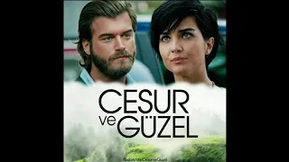 موسيقى مسلسل جسور و الجميلة 