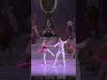 The Nutcracker | Grand Pas de Deux