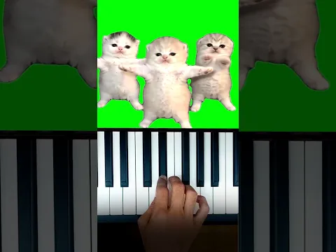 Three Cats Dancing Meme