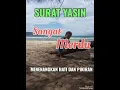 Download Lagu Murotal Al Qur'an Merdu | Surat Yasin | Hj. Wafiq Azizah