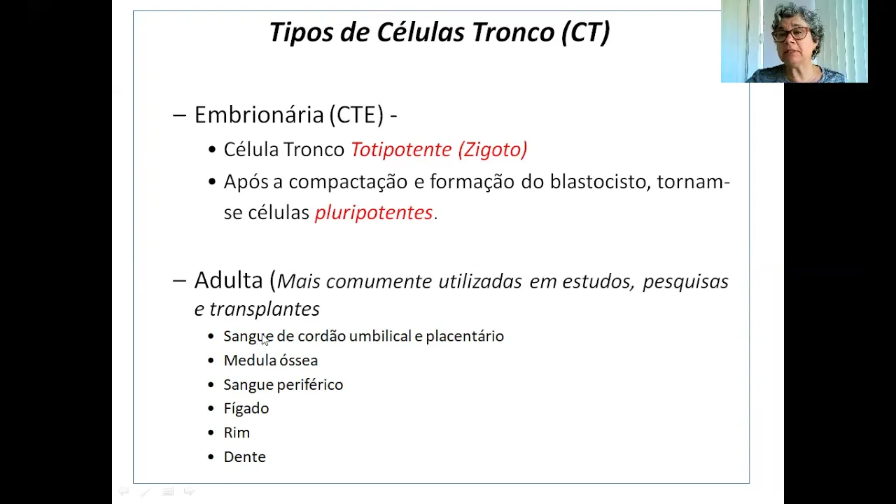 Aula hematopoese e orgãos hematopoéticos