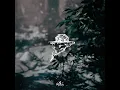Precarious - RefraQ