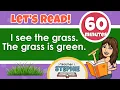 Let s Read 2-Sentence Stories Reading Practice for Kids PreK 1st Grade Compilation