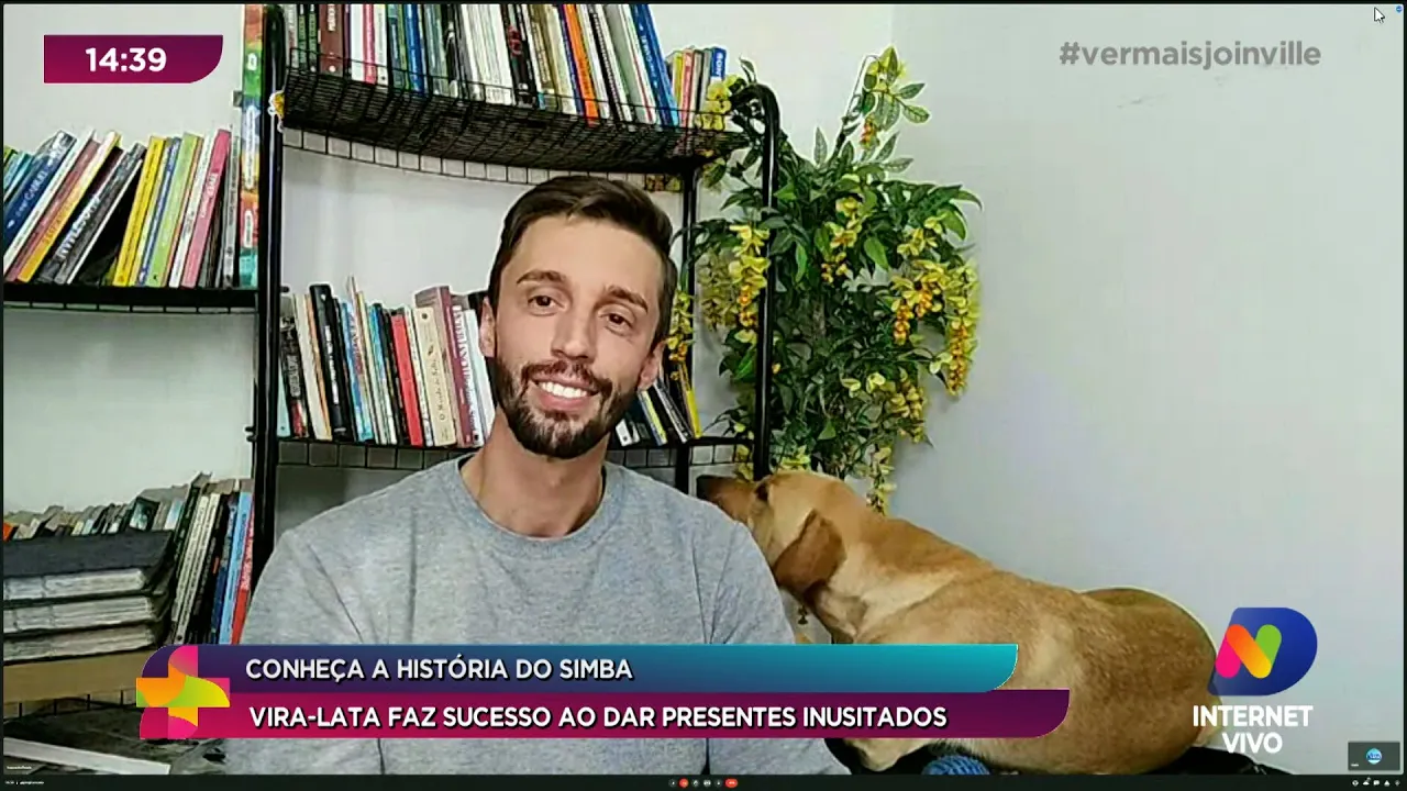 Conheça a história do Simba: vira lata faz sucesso ao dar presentes inusitados