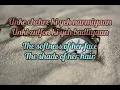 To Chalun(Lyrics)English Translation| RoopKumar Rathod | Border |Sunny Deol,Sunil Shetty | 90's Hits