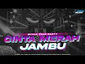Download Lagu DJ CINTA MERAH JAMBU MIDDLE NROTOK BASS BLAYER || TRAP PARTY TERBARU‼️VIRAL TIKTOK