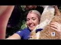 Hill s Pet Nutrition Science Did That