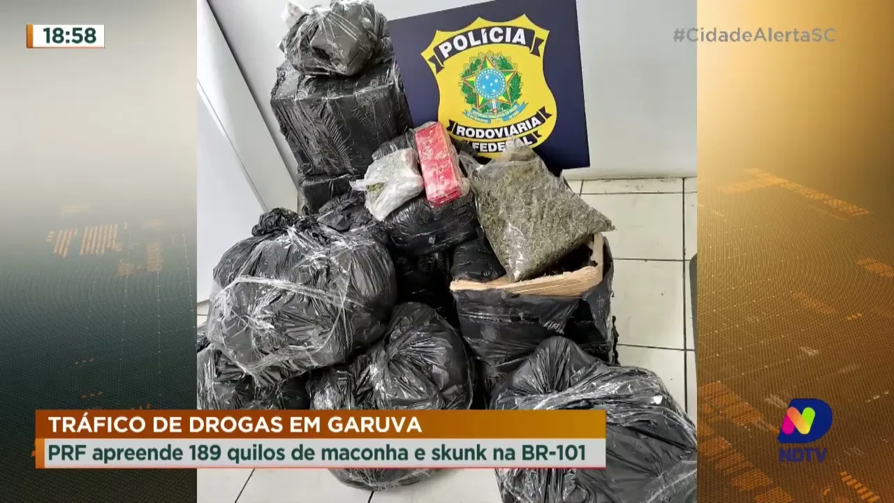 Tráfico de drogas em Garuva: PRF apreende 189 quilos de maconha e skunk na BR-101