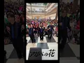 Download Lagu MATSURI 【アガベの花】みんなでアガベステップ！ダイナシティ小田原　みんなありがとう！　#matsuri #shorts #アガベの花 #アガベステップ