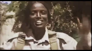 Sirba Durii Hawisoo WBO Oromo 